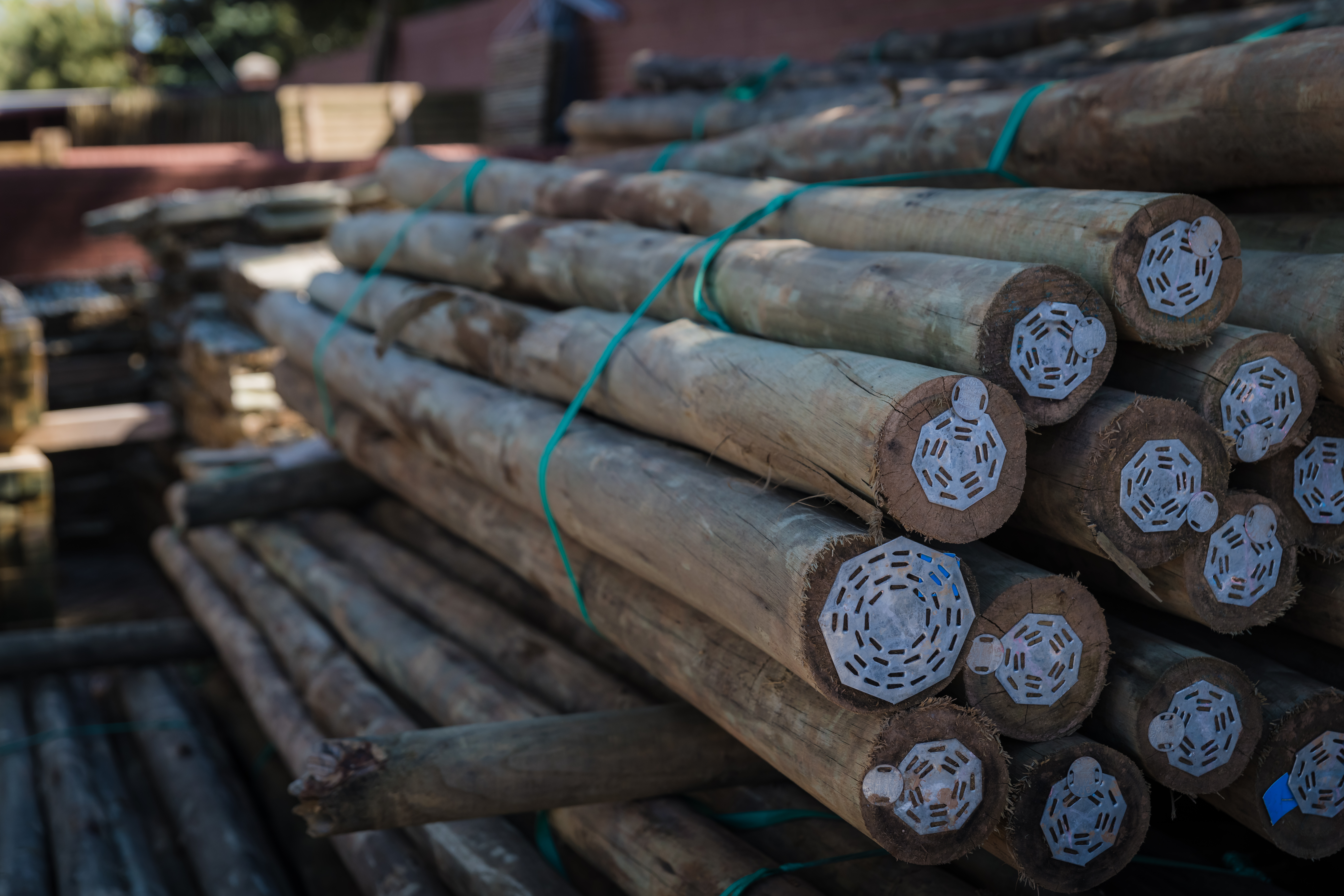 The Pole Yard | Timber Specialists